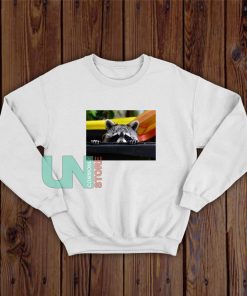 Raccoons-Sweatshirt